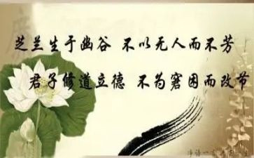 严以修身实心得体会5篇