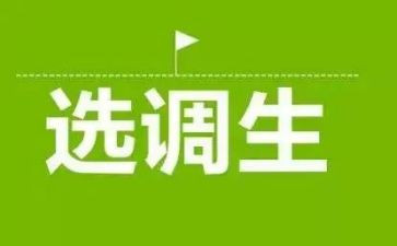 选调生与工作总结6篇