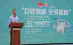 宣教活动方案8篇