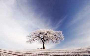 实践活动扫雪心得体会优秀8篇