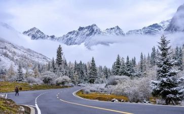 小雪活动的总结6篇