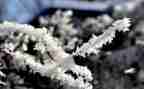 中班科学雪教案7篇