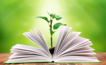 政治教师教学工作总结优秀7篇