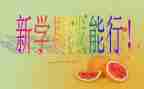 学生每学期的个人总结参考6篇