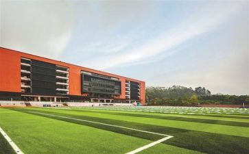 学校6.1活动方案8篇