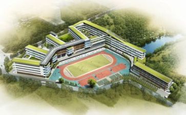 学校3.8活动总结模板5篇
