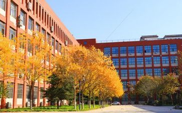 学校篮球比赛工作总结6篇