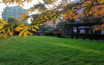 学校画活动方案参考8篇