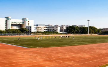 学校学习的心得体会最新8篇