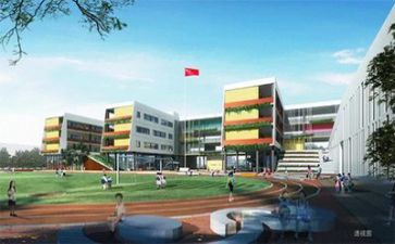 抓学校安全工作总结通用7篇