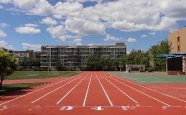 关于学校的工作总结优质6篇