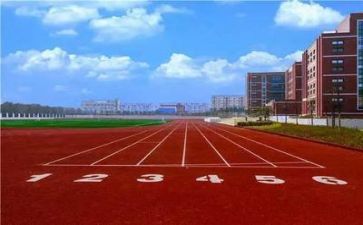 学校3.8活动总结精选5篇