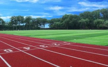 高等学校毕业的自我鉴定模板7篇