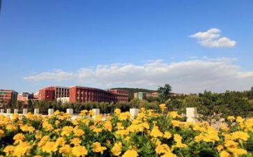 学校安全课心得体会6篇