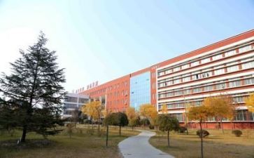 学校3.8活动总结参考8篇