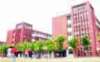 学校安全组工作计划精选7篇