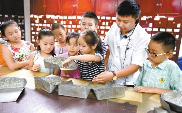 中学艺术节活动方案8篇