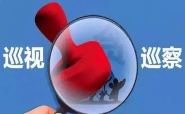 巡察组组长巡察心得体会6篇