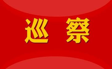 县委巡察反馈个人对照材料范文5篇