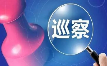 税巡察工作总结7篇