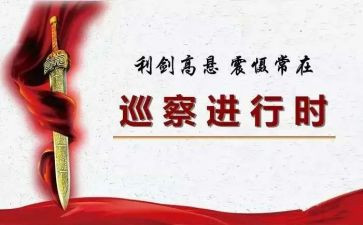 向巡察组汇报材料8篇