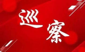 巡察干部2024年述职述廉报告6篇