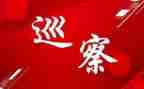 巡察干部2024年述职述廉报告6篇