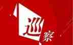 被巡查工作总结5篇