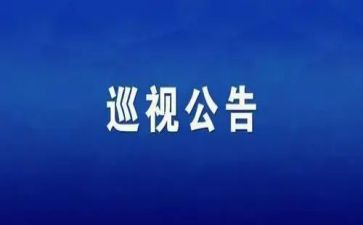 2024年巡视工作报告7篇