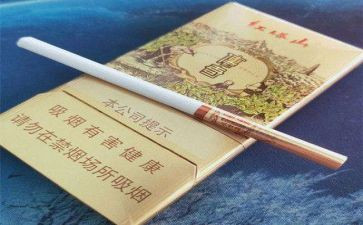 宣传禁烟的活动总结5篇