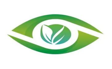 眼睛的小作文优秀7篇