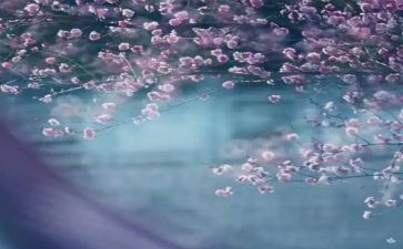 2024一季度心得体会5篇