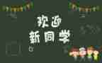 2024幼儿园迎新活动方案最新6篇