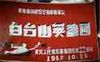 小英雄作文300字8篇