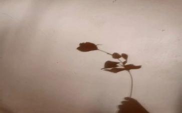 大班影子游戏教案7篇
