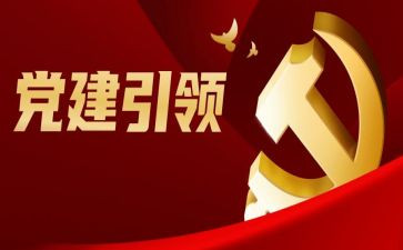 以党引领工作总结7篇