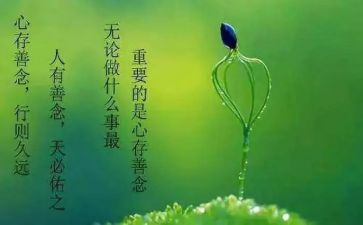 关于因与果的作文最新6篇
