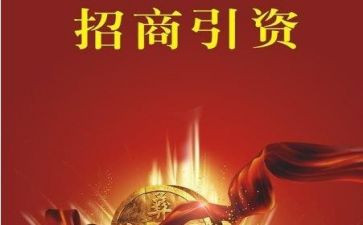 局招商引资工作总结6篇
