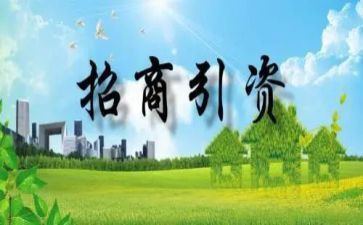 招商引资的工作总结优质7篇
