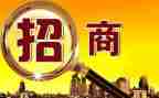 招商引资工作自查报告8篇