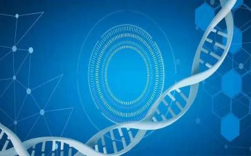 医学生毕业自我鉴定表范文800字6篇
