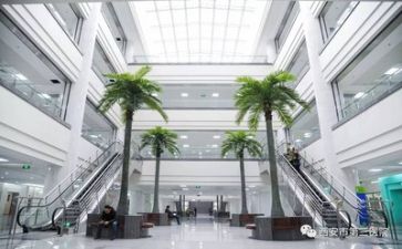 到医院讲话稿7篇