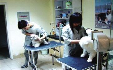 医院上半年总结和下半年计划8篇