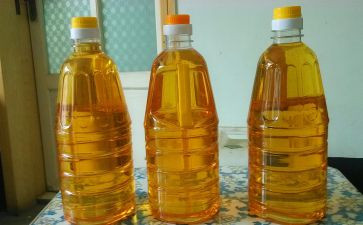 大班油和水教案反思8篇