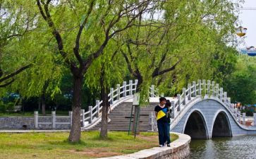 幼儿园游园活动总结参考5篇