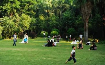 幼儿元旦游园活动总结5篇