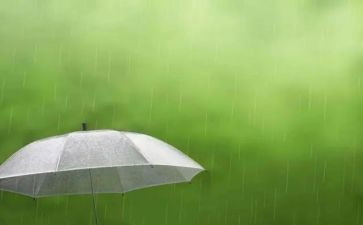 小英雄雨来的读后感参考8篇
