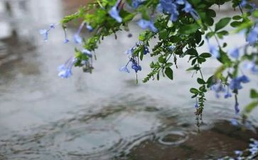 西安的雨作文最新6篇
