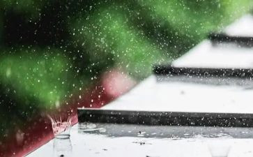 介绍雨的作文600字5篇
