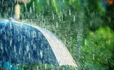 英雄雨来的演讲稿8篇